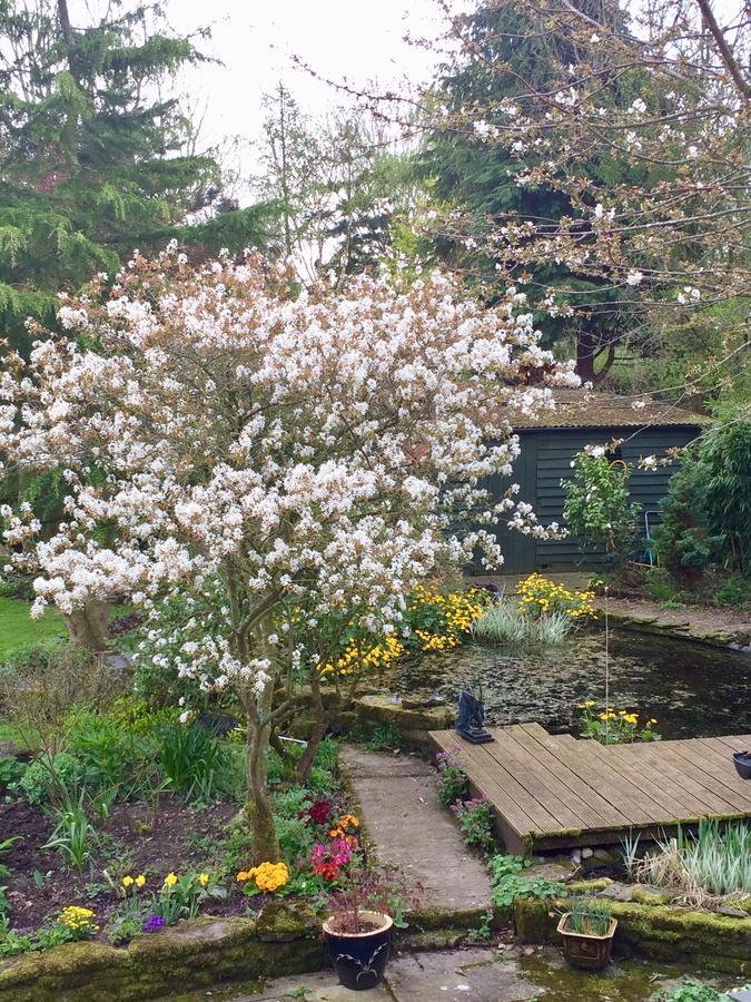 Yew Tree Cottage Leominster Esterno foto