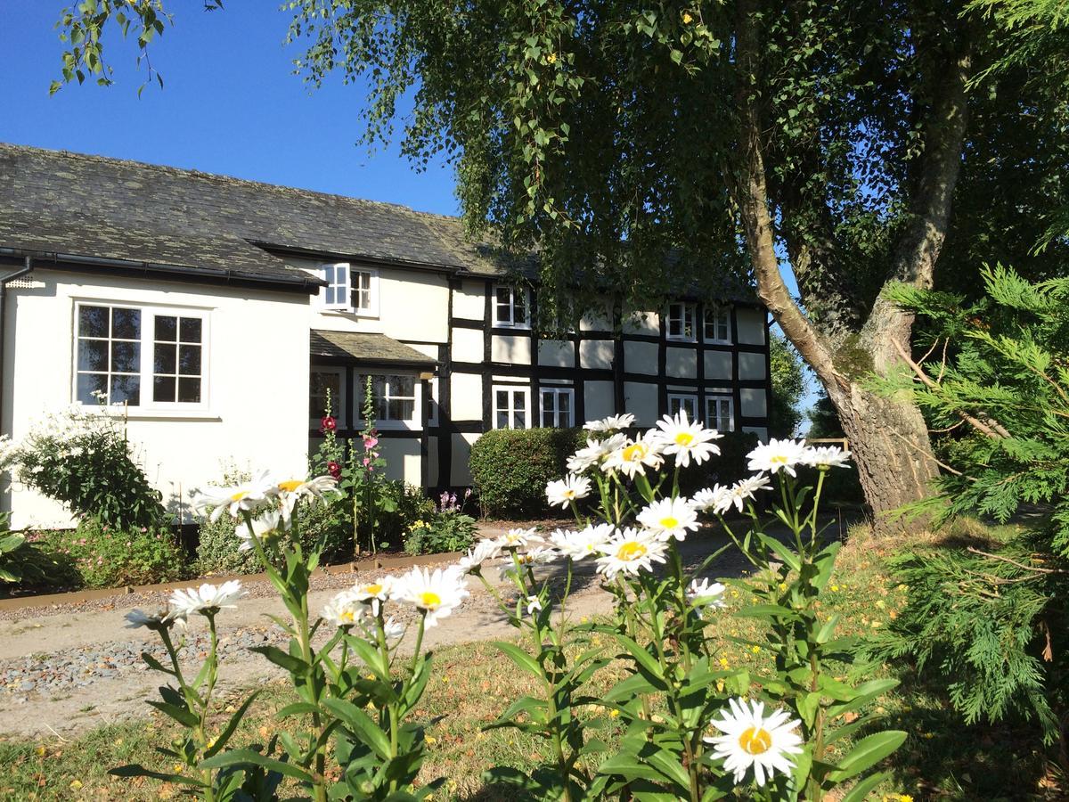 Yew Tree Cottage Leominster Esterno foto